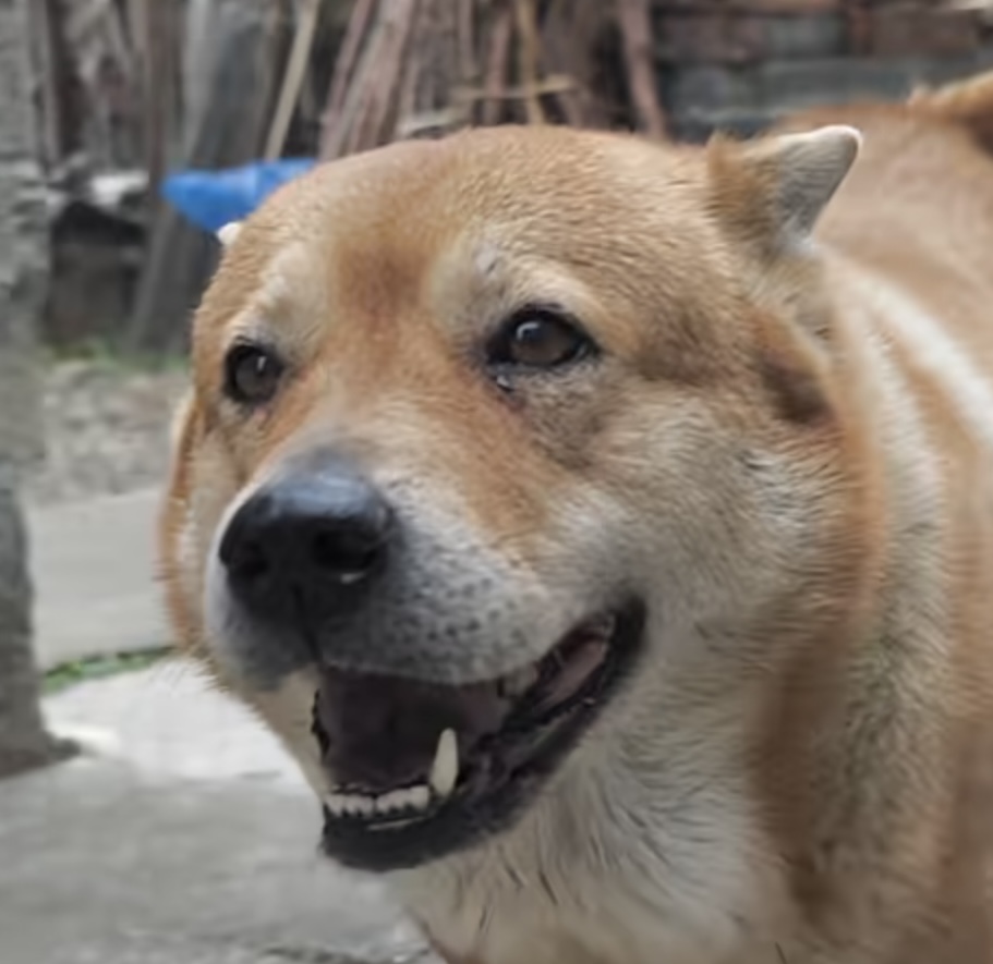 评价图片