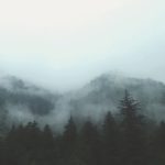 野山岚的头像-狼堡社区